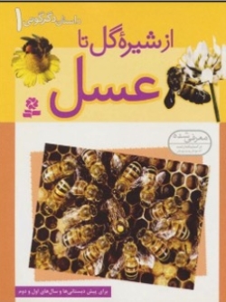 The Story of Transformation (1)- From Flower Nectar to Honey