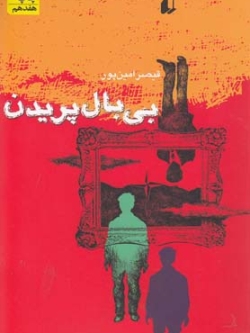 Flying Without Wings